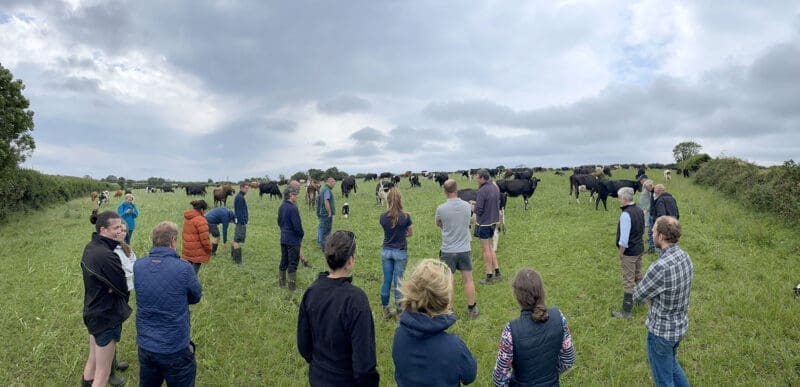 Group of farmers in a field