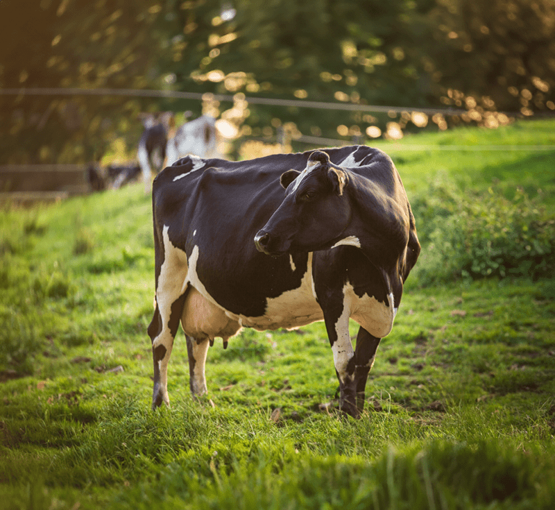 can you freeze butter?