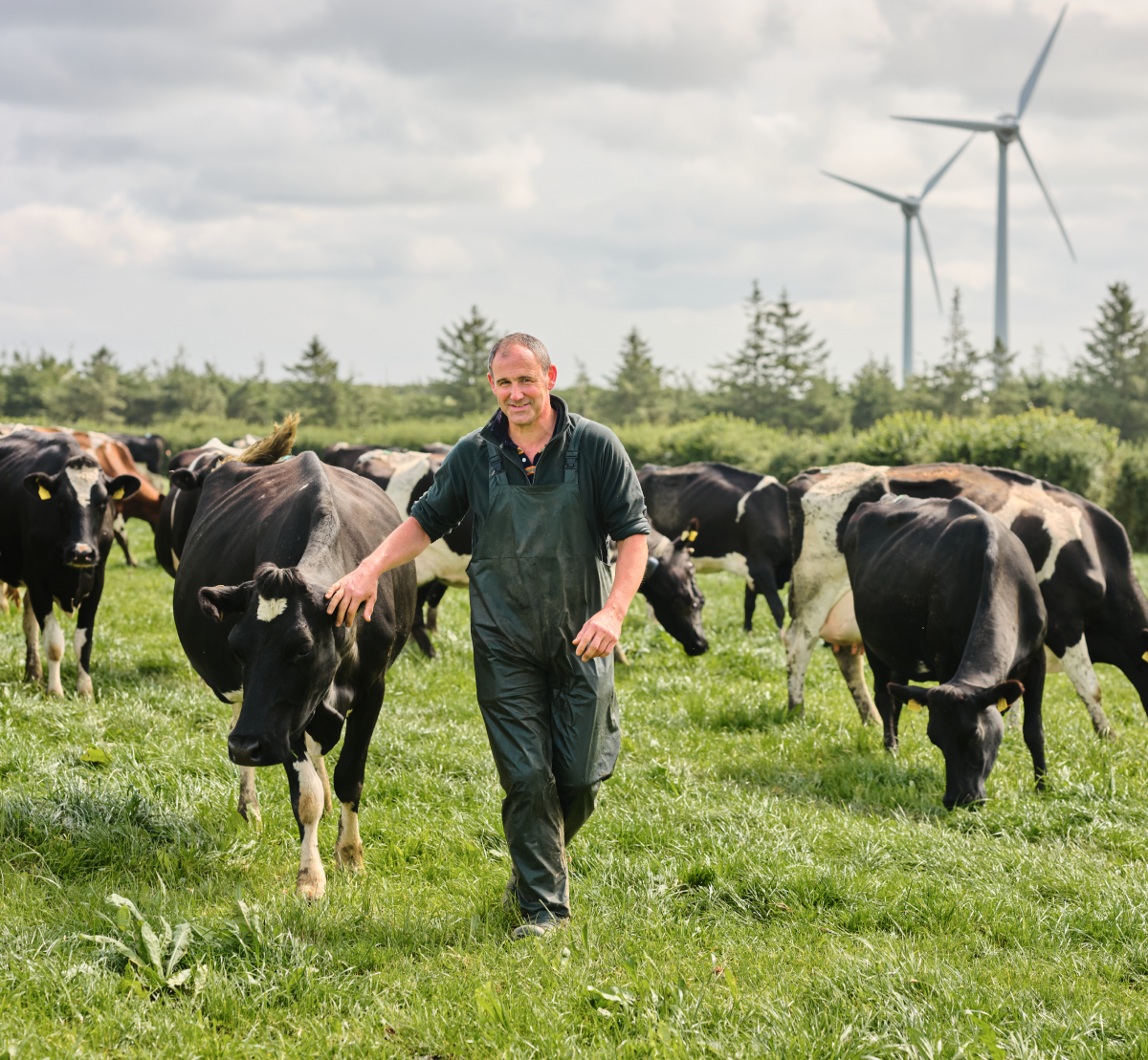 Chris Tucker Cornish Dairy Co Farmer