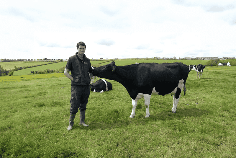 The best uk butter is made using grass fed milk