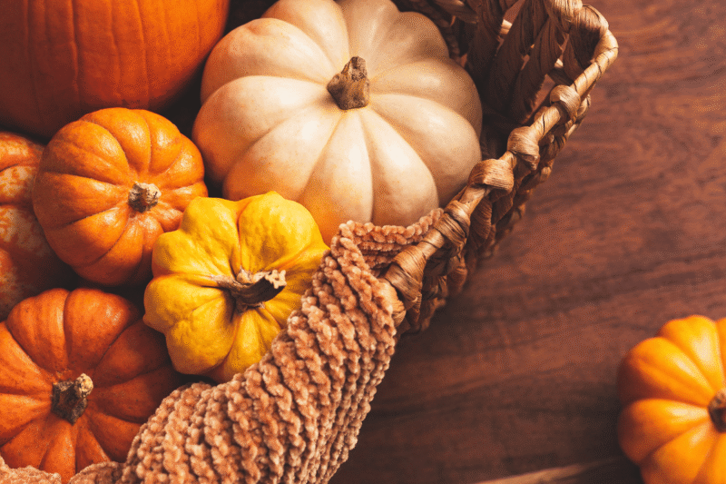 Pumpkin Scones Recipe For A Halloween Afternoon Tea